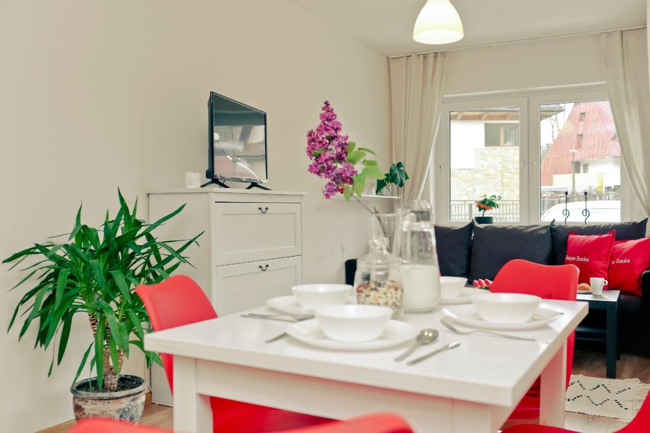 Apartament Giencyno Koncina ザコパネ エクステリア 写真