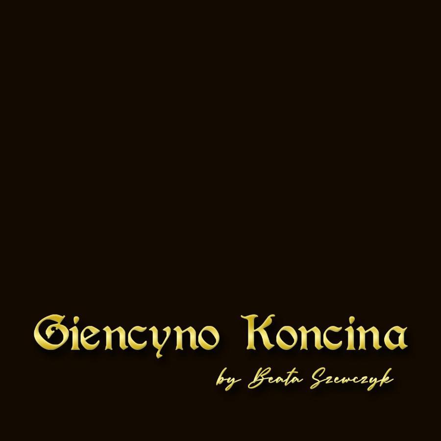 Apartament Giencyno Koncina ザコパネ エクステリア 写真